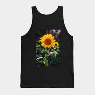 Sunflowers at Noon Photograph Tank Top